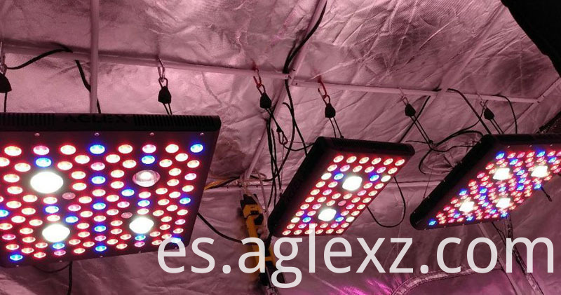 124021827_657589075119553_2995262787899312343_n 124021827_657589075119553_2995262787899312343_n